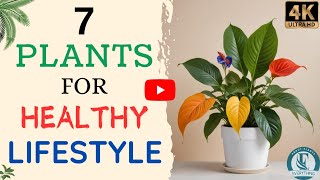 7 Houseplants For Good Health | Healthiest Plants To Have In Your House For A Healthy Lifestyle.