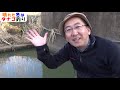 冬はのんびりタナゴ釣り【小物釣り fishing】