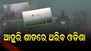 ଆହୁରି ଶୀତରେ ଥରିବ ଓଡିଶା | Odia News Live Updates | Latest Odia News | #Samayalive