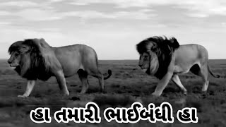 Ha Tamari Bhaibandhi Ha jignesh kaviraj status || હા તમારી ભાઈબંધી હા જીગ્નેશ કવિરાજ સ્ટેટસ ||