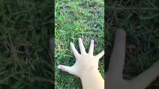 Touching grass until I go viral day 4 #grass #touchgrass #viral