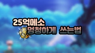 메이플 25억메소 멍청하게 쓰는법 [메이플스토리 메포]