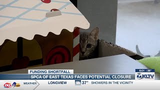 SPCA of East Texas faces potential closure amid funding crisis