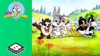 Ninne nanne l Baby Looney Tunes l Boomerang Italia