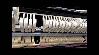 Casio - Bechstein GP500, GP400, GP300 Grand Hybrid Hammer Movement video