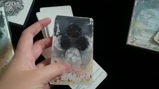 Tamed Wild Unboxing - The Wild Moon Deck