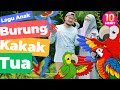 [LAGU ANAK] Burung Kakak Tua - Burung KakakTua Lagu Anak Indonesia Populer | Syaki & Kisya