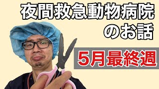 先週の夜間救急動物病院での診療時に感じたこと、飼い主さんたちにお話をしたいことをすこし('◇')ゞ　譲渡会の結果\u0026ラジオ情報も(^^)