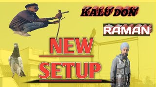 NEW SETUP READY RAMAN KA 🔥|| Y D.Pigeon Corner || Jammu Pigeon Corner.