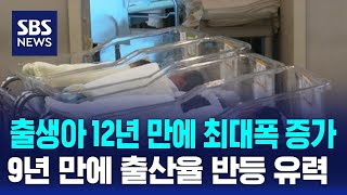 출생아 12년 만에 최대폭 증가…9년 만에 출산율 반등 유력 / SBS