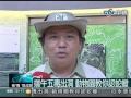 端午五毒出洞 動物園教你認蛇蠍