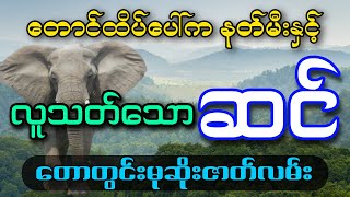 ဆင်ဆိုးတစ်ကောင် နတ်မီးတောင်