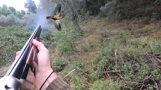 Για Τσίχλες Με Το Citori [Hunting Turdus With Browning Citori]