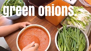 How to Make Korean Green Onion Kimchi | PA KIMCHI #파김치
