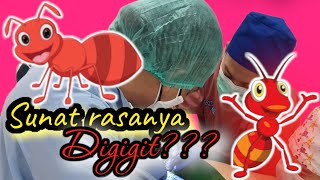 Sunat rasanya kaya digigit semut