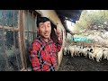 life in havran kocadağ village what did livestock producers say