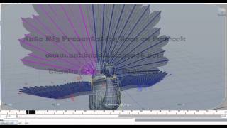 Auto Bird Rigging: Presentation On Tail Controls