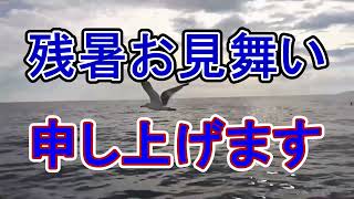 残暑お見舞い申し上げます　#夏のご挨拶　#残暑見舞い　#涼しげな景色　#涼しげな映像　#夏の癒しの画像