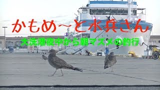 【寝ずに釣り】カ モ メ〜と水兵さん♪【大洗】