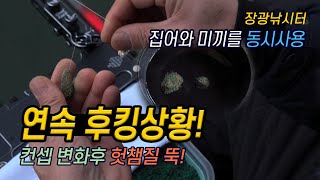 최적의 미끼 사용은 이렇게.., 멋진 찌올림 연속! 컨셉운영이란 이런것 (장광낚시터)