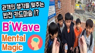 관객의 생각을 맞추는 반전 카드마술 !?ㅣB'Wave Mental Magic - (쇼킴길거리마술)