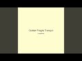 Golden Fragile Tranquil