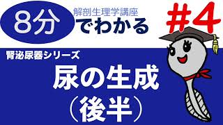 尿の生成（後半）【解剖生理学講座】勉強法/看護師国家試験対策/腎泌尿器シリーズ４