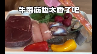 【洛克的炫饭日记】小狗食堂｜吃一个香香的牛蹄筋，牛蹄筋也太香了吧！