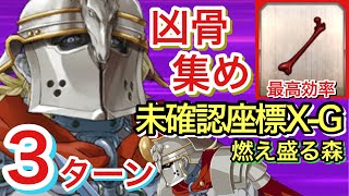 【FGO】低レア最速！1分で周回 未確認座標X-G(燃え盛る森)3ターン攻略 凶骨集め最高効率【Fate/Grand Order】