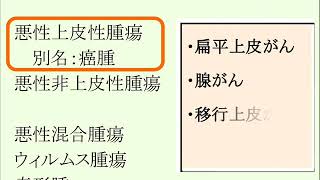 悪性腫瘍の分類＜発生母地ごとに＞　エスノメディア