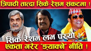 तराईमा अस्तित्व खोज्दै सिके राउत ! सिके–रेशम एकताको गृहकार्यमा ! त्रिपाठीको आफ्नै दाउ !