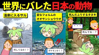 「なんなんだこの生き物は…？」訪日外国人が驚愕した日本だけの動物5選