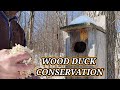 Wood Duck Conservation | Routine maintenance & cleaning