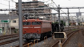 2019/06/05 【宇都宮配給】 EF81-81 北浦和駅 | JR East: Hopper Wagons for Inspection at Kita-Urawa