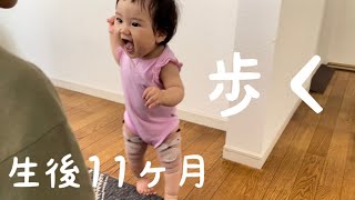 こはるvlog#49 歩く練習なう【生後11ヶ月】walking practice now