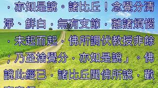 雜阿含第731經（七覺支相應）：清淨、鮮白