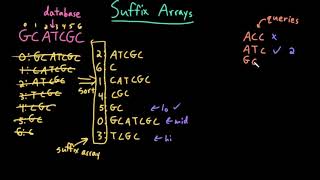 Advanced Data Structures: Suffix Array Search