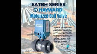 Our HAYWARD motorized ball valve ESTBH