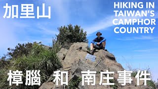 Hiking Taiwan: Mt. Jiali, camphor and the trees that fuelled the Hollywood boom (苗栗加里山 樟腦和南莊事件)