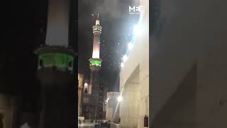 'Locusts' Plague Mecca Grand Mosque