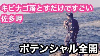 足下にキビナゴを落とすと凄い@か鹿児島県佐多岬　#fishing #ショアジギング #地磯釣り#鹿児島釣り #biggame #タマン釣り #クエ #クエ釣り #シブダイ #打ち込み釣り #ふかせ釣