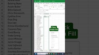 Flash Fill in Excel‼️ #excel