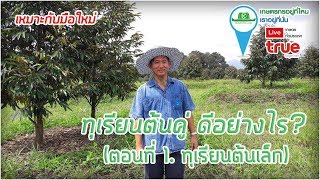 LIVE สวนธีรภัทร อุ่นใจ...ทุเรียนต้นคู่ ดีอย่างไร? (ตอนที่ 1--ทุเรียนอายุ 2 ปี)