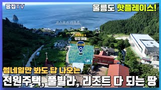 대기업도 탐내는 울릉도 토지!_시원한 동해바다 뷰가 압권