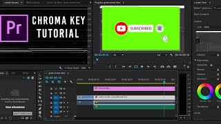 Green Screen Tutorial Premiere Pro (How To Use YouTube Subscribe Video in Adobe Premiere Pro)