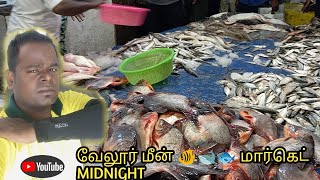 Vellore fish 🐠🐋🐟 marketing midnight area | April pool guys 😁| TN 29 it's me Muralisivan|