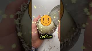 ما الذي تخفيه الكرة المطاطية؟  #shorts