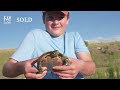 featured sold montana property 7 690± acres f double d ranch manhattan mt