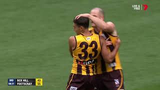 VFL Highlights - Box Hill v Footscray R6 2019