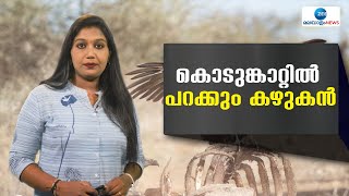 Vultures Facts | കൊടുങ്കാറ്റിൽ പറക്കും കഴുകൻ, ലോകത്താകമാനം വംശനാശം നേരിട്ടു കൊണ്ടിരിക്കുകയാണ് കഴുകൻ